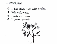 Scan Dec 11, 2020 Smart KCPE Revision..pdf